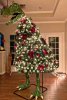 zilla tree.jpg