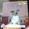 cooking dog.jpg