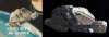 STTNG-Ghost Ship BSG 3a.jpg