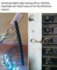 xmas lights.jpg