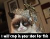Grumpy Glitter Cat Gonna Crap 4a.jpg