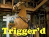 Trigger'd 2a.jpg