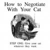catstuff.jpg