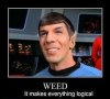 6441f9ab91670a07ea4448ca681999bc--vulcan-star-trek-wise-sayings.jpg