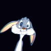 IMG_0520.GIF