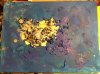 organics 3.jpg
