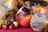 3045151-inline-i-1-the-usda-has-made-an-app-that-notifies-you-when-your-food-is-about-to-go-bad.jpg