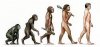 consequences-of-evolution-631.jpg