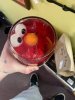 elmo pickled.jpg