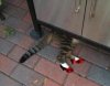 FB_IMG_1615237487910.jpg