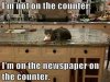 FB_IMG_1617270435915.jpg