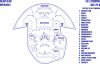 Galaxy Class Bridge 4b.jpg