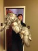 cooncat.jpeg