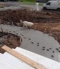 dog paws in cement.jpg