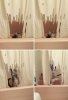 cat shower.jpg