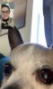 3CA10E15-3FC6-4CB6-A796-9D0FFB5CB0A3.jpeg