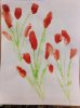 flowers 3.jpg