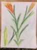 flowers 6.jpg