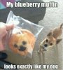 went viral.jpg