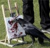painting bird.jpg