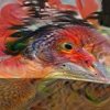 deep dream birdish avatar.jpg