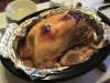 thanksgiving turkey avatar.jpg