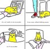 FB_IMG_1620556710155.jpg