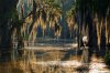 shutterstock-302009690.jpg