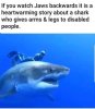 jaws.jpg