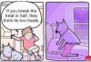 half a treat.jpg