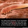 FB_IMG_1623095818964.jpg
