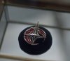 Borg Fed Pin 1a.jpg
