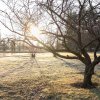 australia winter solstice 2021 avatar.jpg