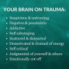 trauma brain.jpg