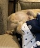 52B73756-D09C-4E37-B9FF-51F0909C70BC.jpeg