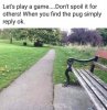 where is the pug.jpg