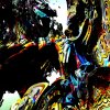 240478265_10157890586286650_2386234161176697872_n.jpg