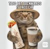 taco cat.jpg