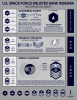 space_force_ranks_02.png