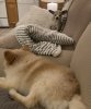 8335A853-C294-493F-A495-6D2DED9E75BF.jpeg