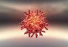20090413-coldvirus.jpg