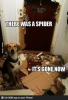 dog and spider.png