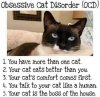 cat ocd.jpg