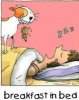 bed and breakfast.jpg