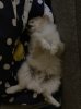 9763442F-0340-4D0D-8A50-0DB0A9BE6661.jpeg