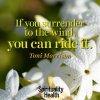 ride the wind.jpg