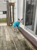 8CB9CF55-B59A-4893-BAE9-225313C131C7.jpeg