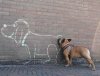 dog funny.jpg