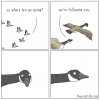following you.jpg