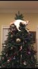 christmas cat tree.jpg.jpeg